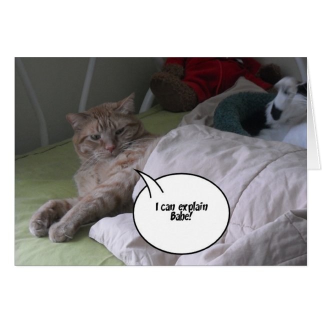 Cartão Desculpe-me Saudação (Frente Horizontal)