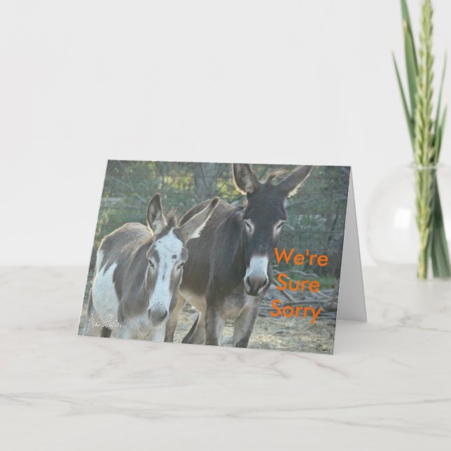 Cartão Desculpe, Mules personalizar (Frente)