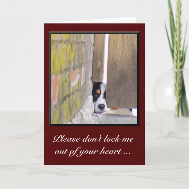 Cartão Desculpe, não me trave (Frente)