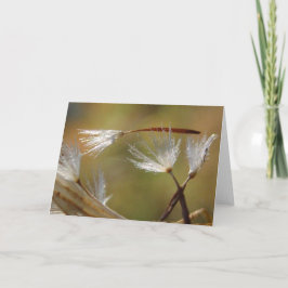 Cartão Desculpe pela Sua Perda Dente-de-leão Com Poema