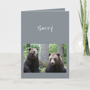Cartão Desculpe pelo que você disse Urso Humor Animal
