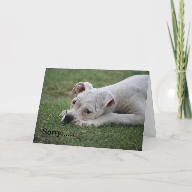 Cartão Desculpe por não se sentir tão bem. (Frente)