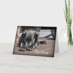 Cartão Desculpe, Puppy Greeting Card
