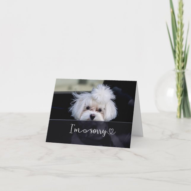 Cartão Desculpe, Vazio (Frente)