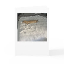 Desde que você se foi para MillieGram