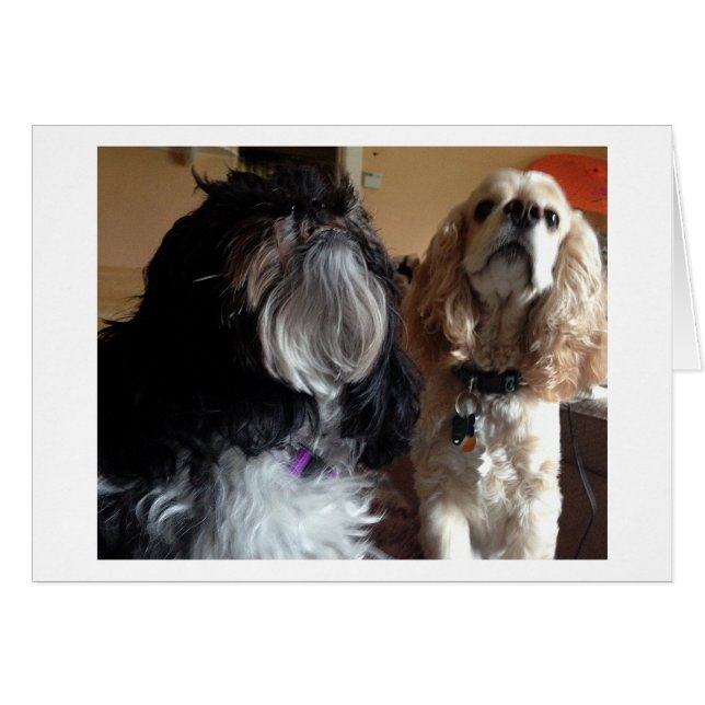 CARTÃO DESEJAMOS "VOCÊ" UM FELIZ "ANIVERSÁRIO!" (Frente Horizontal)