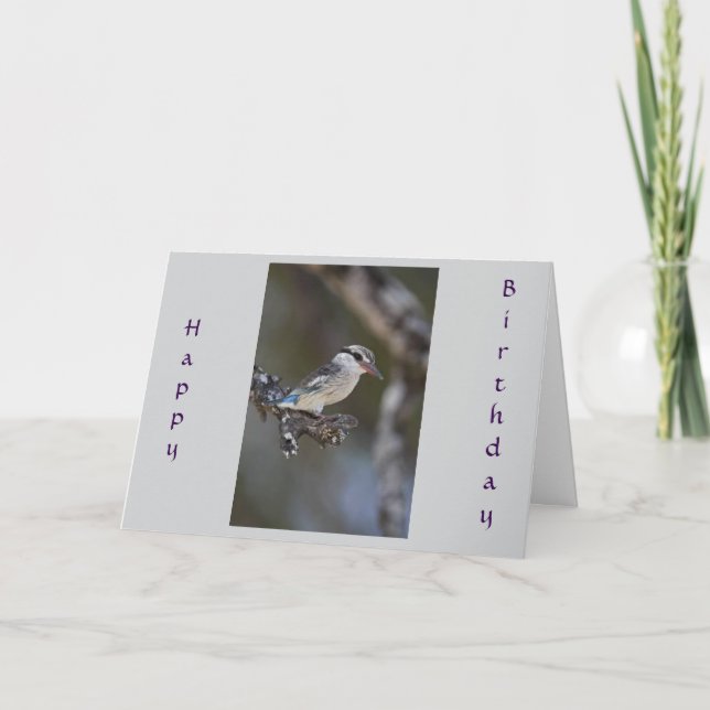 CARTÃO DESEJANDO UM FELIZ "ANIVERSÁRIO COMUM" COMUM (Frente)