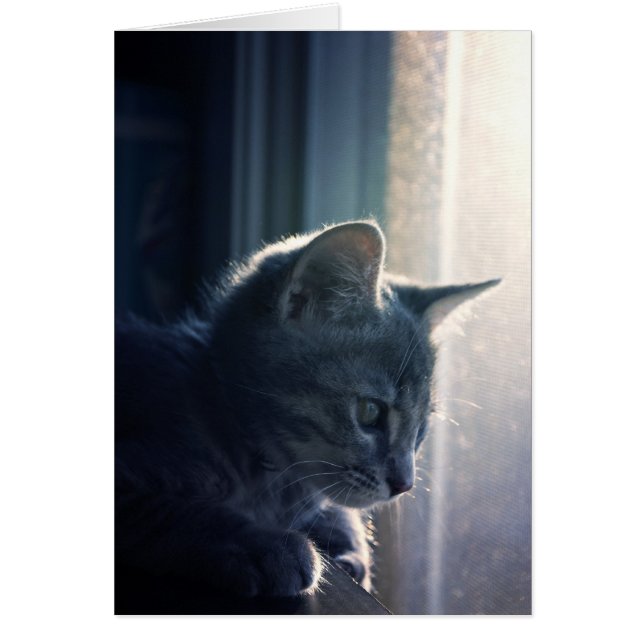 Cartão Desejo (Frente)