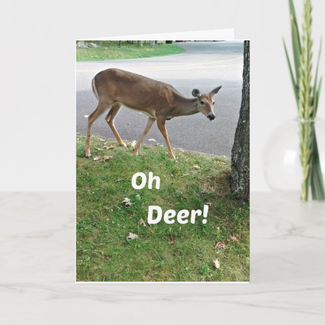 Cartão Desejos de Aniversário com atraso humorístico (Frente)