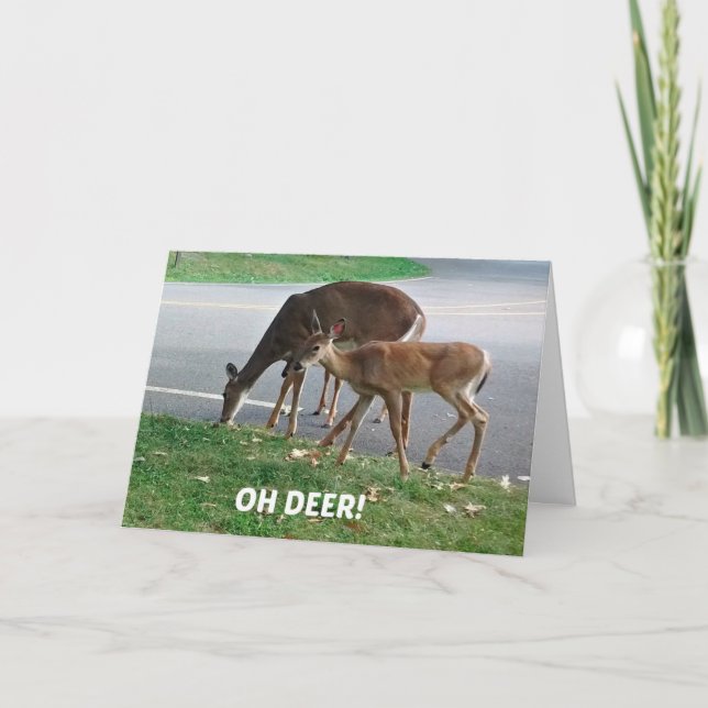 Cartão Desejos de Aniversário com atraso humorístico (Frente)