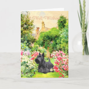 Cartão Desejos de Recuperação para o Scottish Terrier
