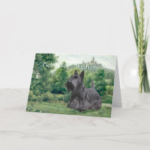Cartão Desejos de Recuperação para o Scottish Terrier
