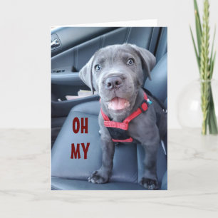 CARTÃO DESEJOS ESPECIAIS DE 50º ANIVERSÁRIO DE UMA BOMBA