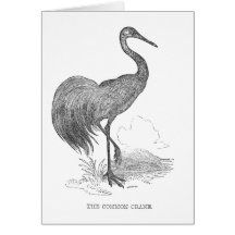 Desenho a caneta e tinta de grou vintage