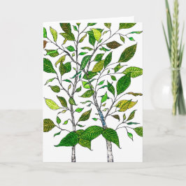 Cartão Desenho da Árvore do Lápis de Cor da Planta Ficus