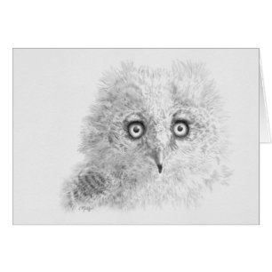 Cartão Desenho de Owlet excelente Corado