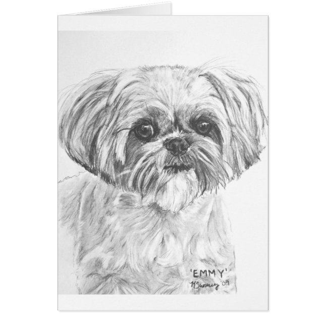 Cartão Desenho de Shih Tzu (Frente)