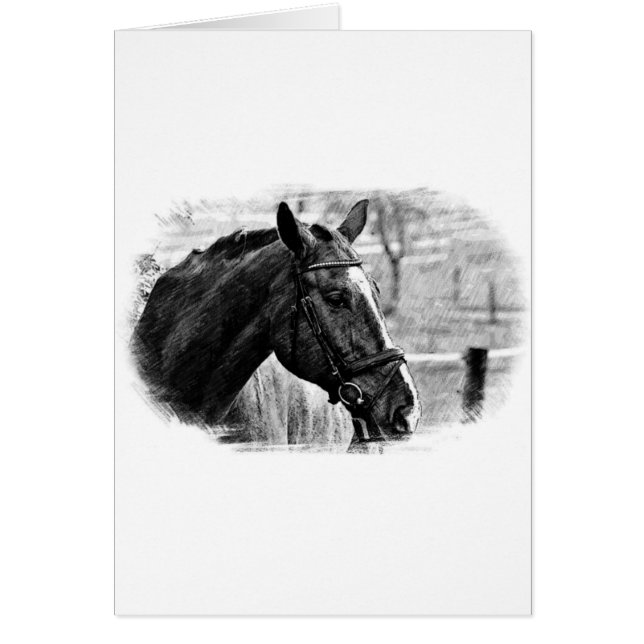 Cartão Desenho do Cavalo Branco Negro (Frente)