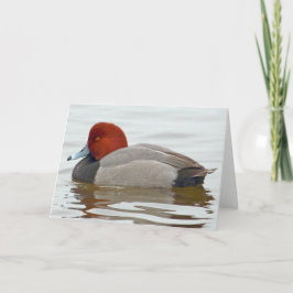Cartão Desenho do Pato Vermelho