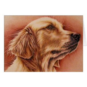 Cartão Desenho do Retriever de Ouro na Placa