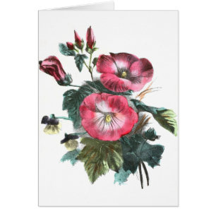 Cartão Desenho do vintage: Mallow vermelho