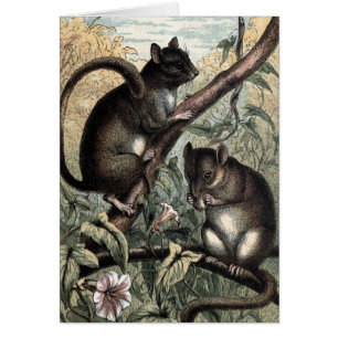 Cartão Desenho do vintage: O Dormouse