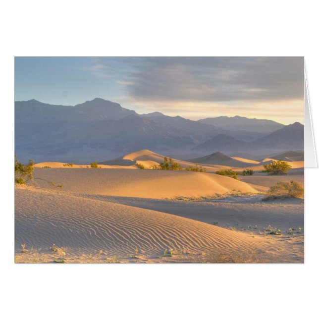 Cartão Desert Dawn (Frente Horizontal)