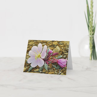 Cartão Desert Evening Primrose Notecard