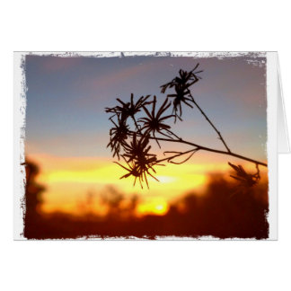 Cartão Desert Flower (Flor deserto) na placa de Vazio sun