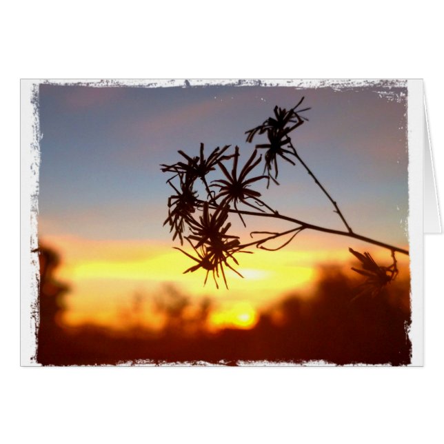 Cartão Desert Flower (Flor deserto) na placa de Vazio sun (Frente Horizontal)