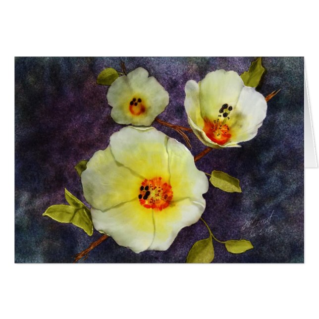 Cartão Desert Hibiscus (Frente horizontal)