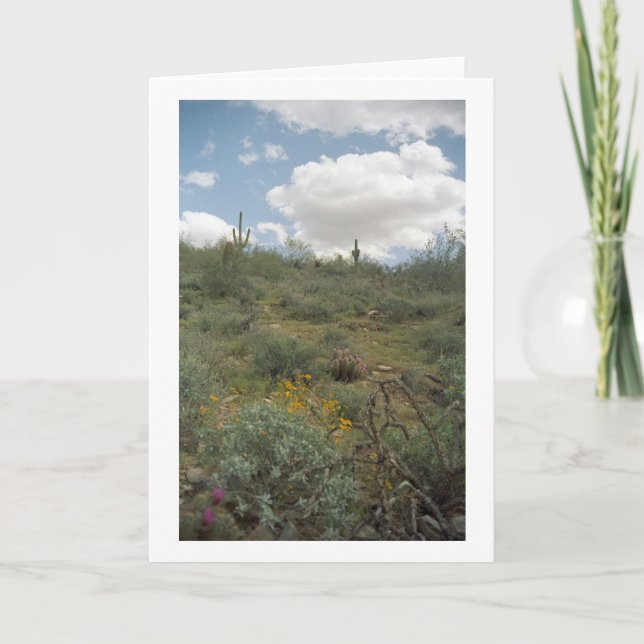 Cartão Desert Symphony Greeting Cards ou Note Cards (Frente)