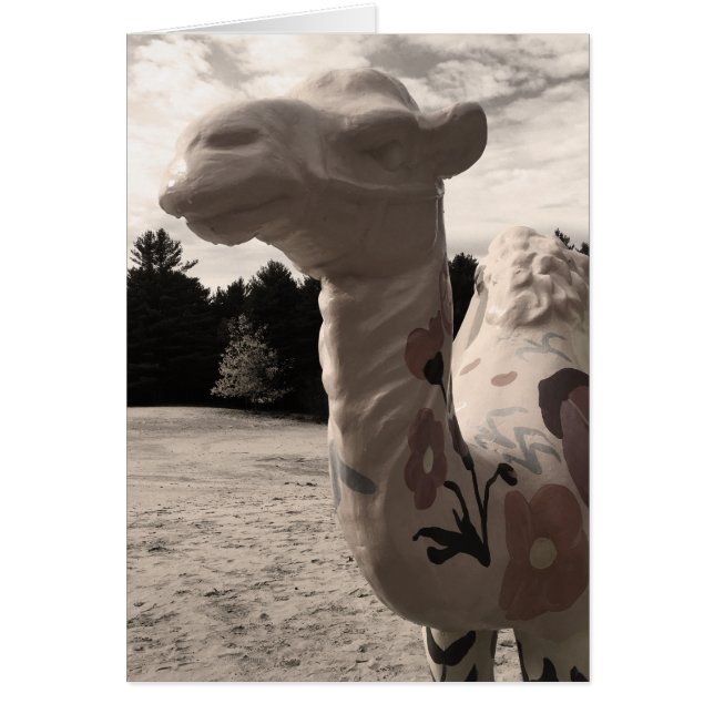 Cartão deserto de minas (Frente)