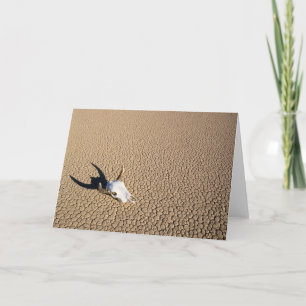 Cartão Desertos   Crânio de vaca no deserto