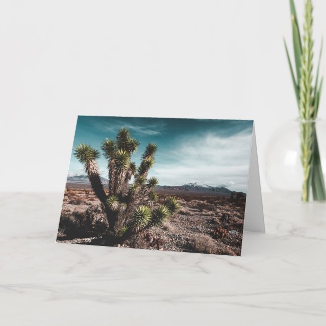 Cartão Deserts | Cholla Cactus (Frente)
