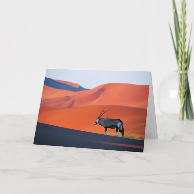 Cartão Deserts | Namib Desert Oryx (Frente)