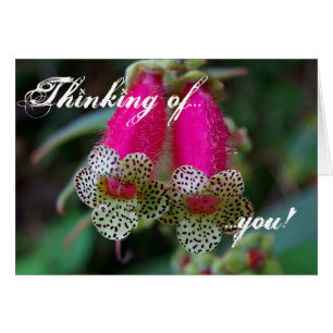 Cartão Design da flor do leopardo