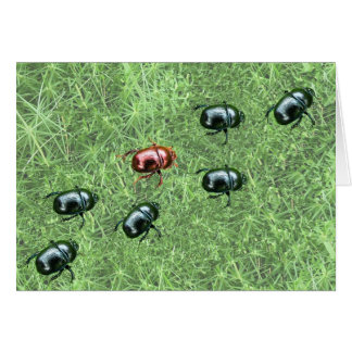 Cartão Design de besouro