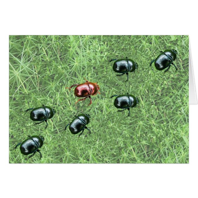 Cartão Design de besouro (Frente Horizontal)