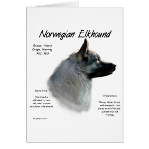 Cartão Design de História de Elkhound Norueguês