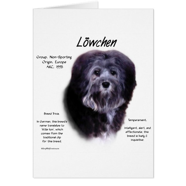 Cartão Design de História de Löwchen (Frente)