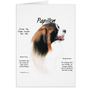 Cartão Design de História de Papillon (Phalene)