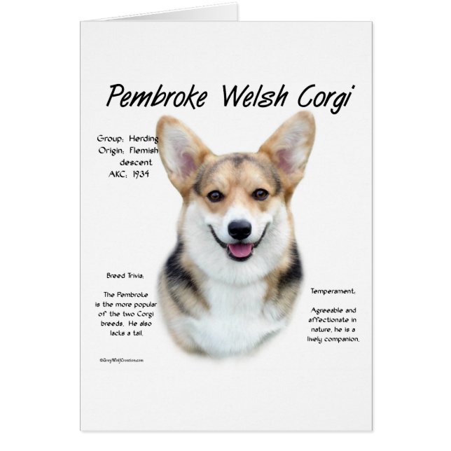 Cartão Design de História de Pembroke Welsh Corg (Frente)