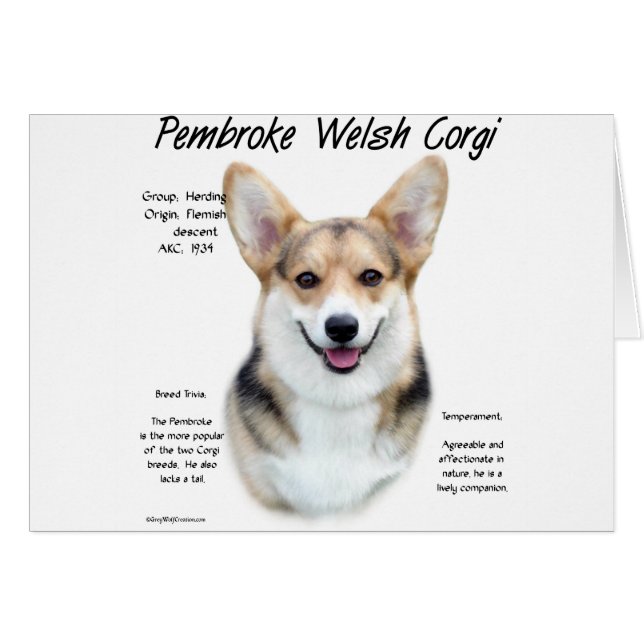 Cartão Design de História de Pembroke Welsh Corg (Frente Horizontal)