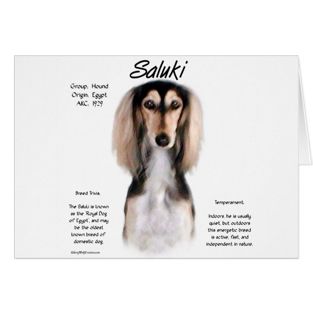 Cartão Design de História de Saluki (Frente Horizontal)