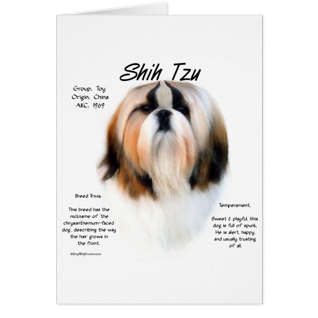 Cartão Design de História de Shih Tzu (Frente)