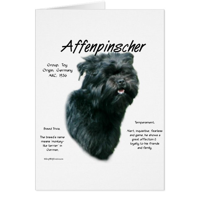 Cartão Design de História do Affenpinscher (Frente)