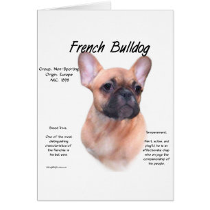 Cartão Design de História do Buldogue Francês