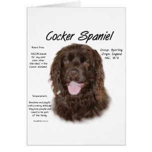 Cartão Design de História do Cocker Spaniel (brn)