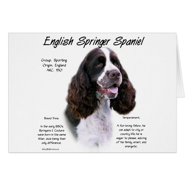 Cartão Design de História do Inglês Springer Spaniel (fíg (Frente Horizontal)